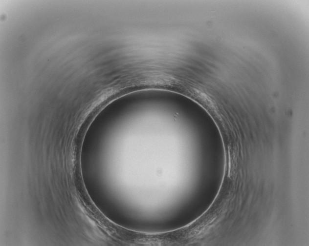 X0000088610435200706011231