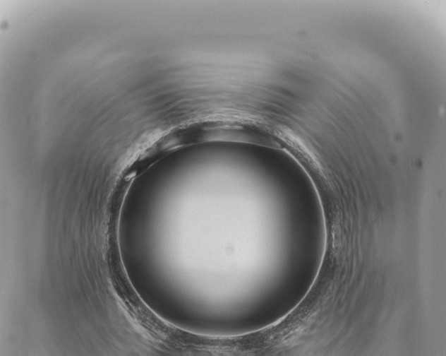 X0000088610436200706011231