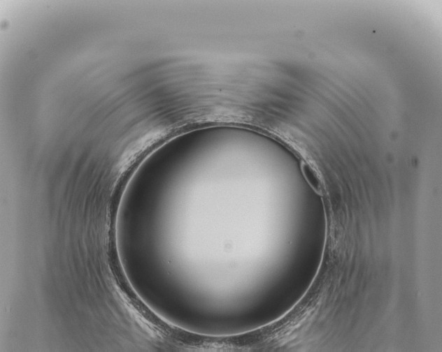 X0000088610437200706011231