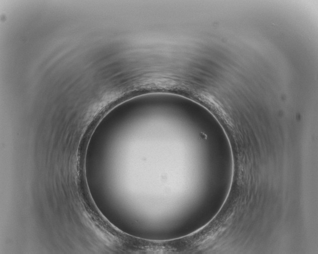 X0000088610439200706011231