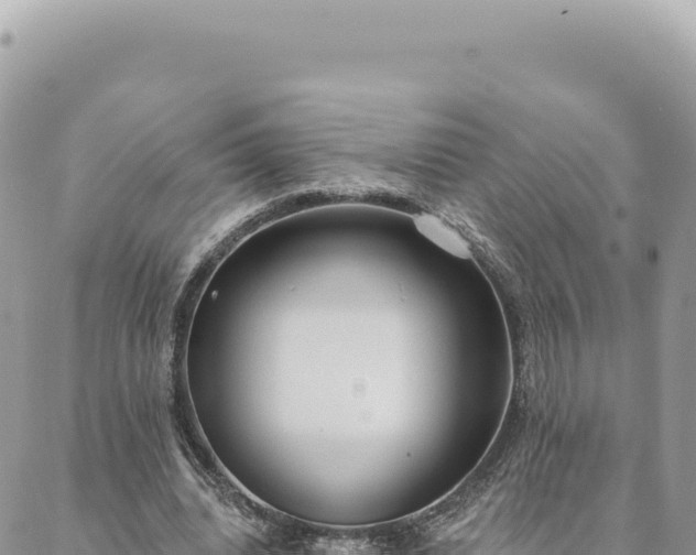 X0000088610440200706011231