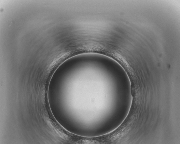 X0000088610442200706011231