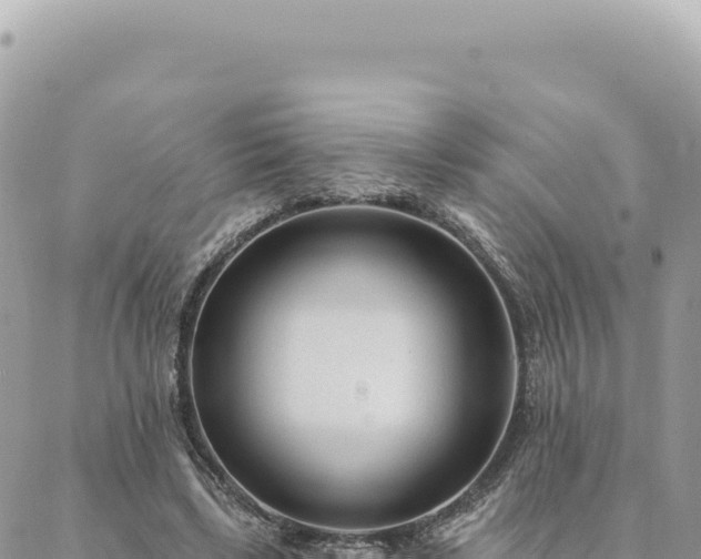 X0000088610443200706011231