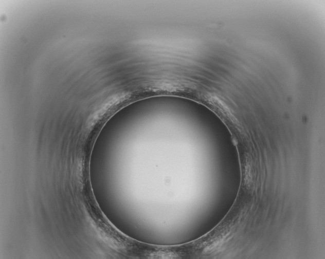 X0000088610444200706011231