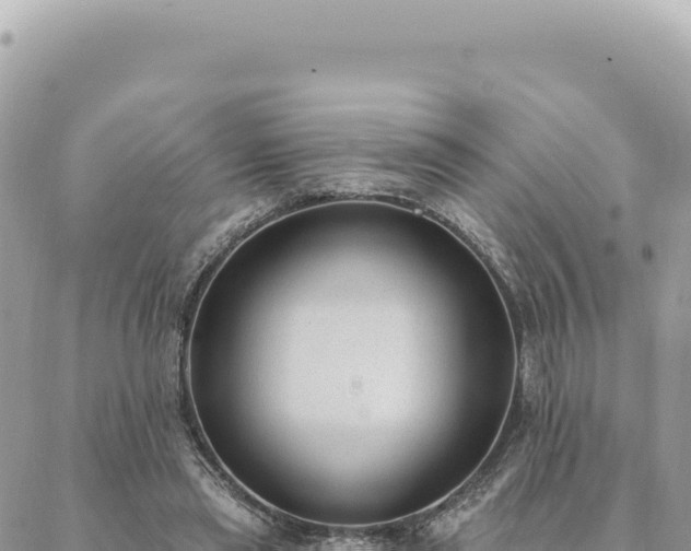 X0000088610445200706011231