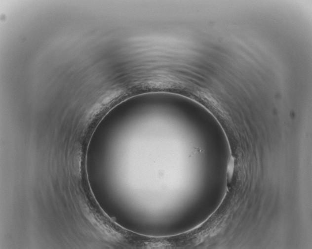 X0000088610446200706011231