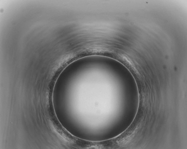 X0000088610447200706011231