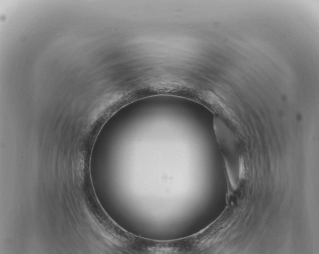 X0000088610448200706011231