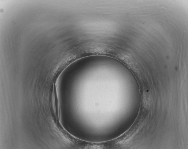 X0000088610449200706011232