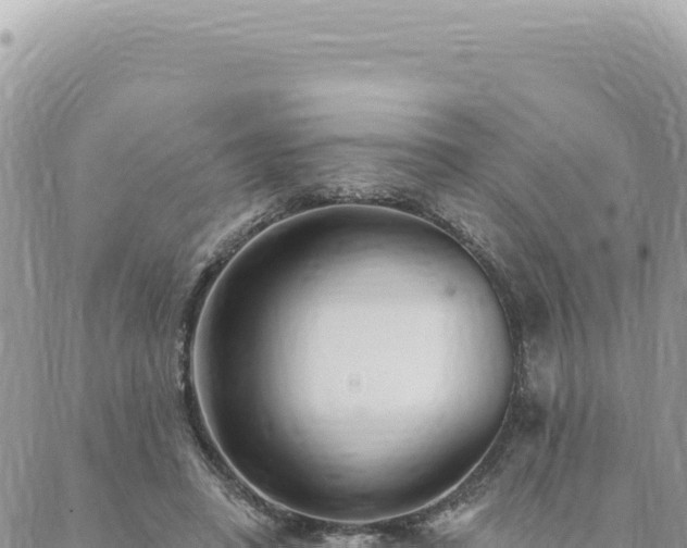 X0000088610450200706011232