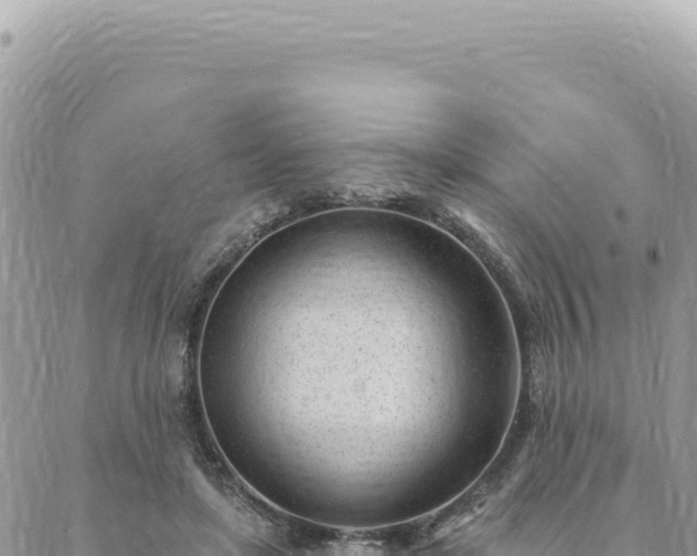 X0000088610451200706011232