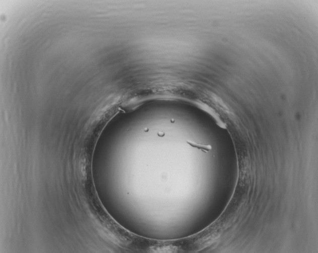 X0000088610452200706011232