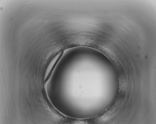 X0000088610453200706011232