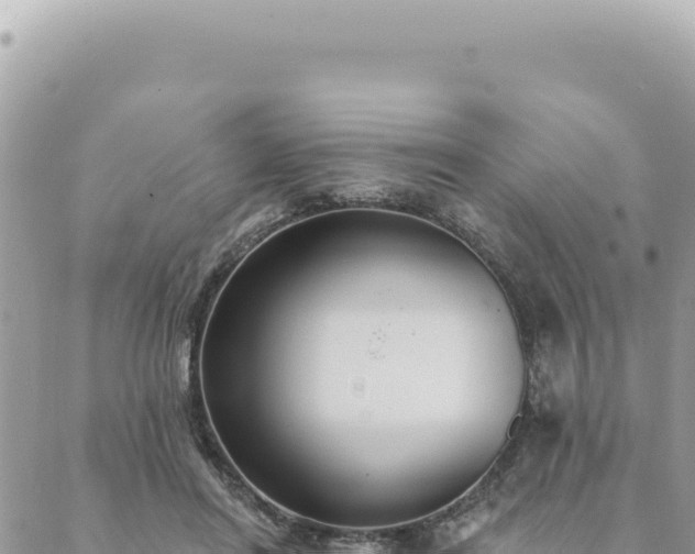 X0000088610454200706011232