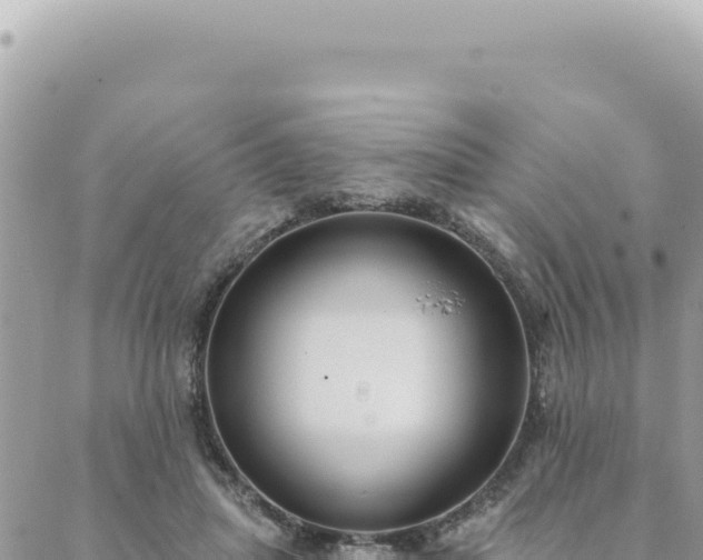 X0000088610455200706011232