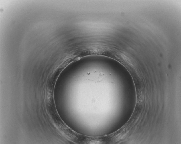 X0000088610456200706011232