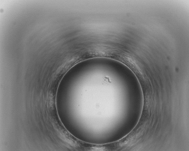 X0000088610457200706011232