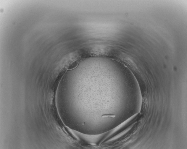 X0000088610458200706011232