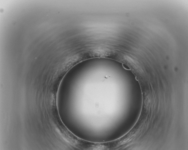 X0000088610459200706011232