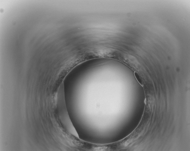 X0000088610461200706011232