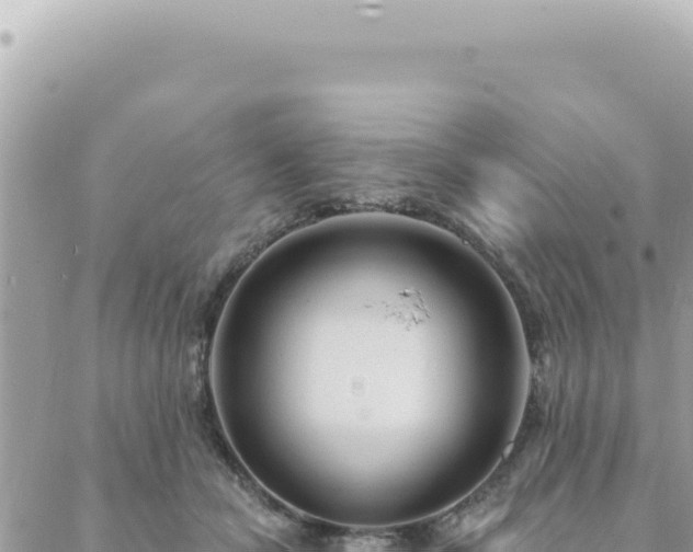 X0000088610462200706011232