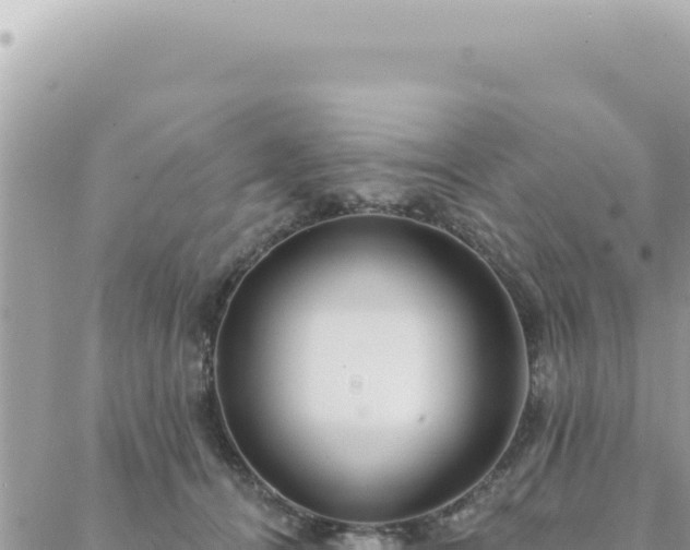 X0000088610464200706011232