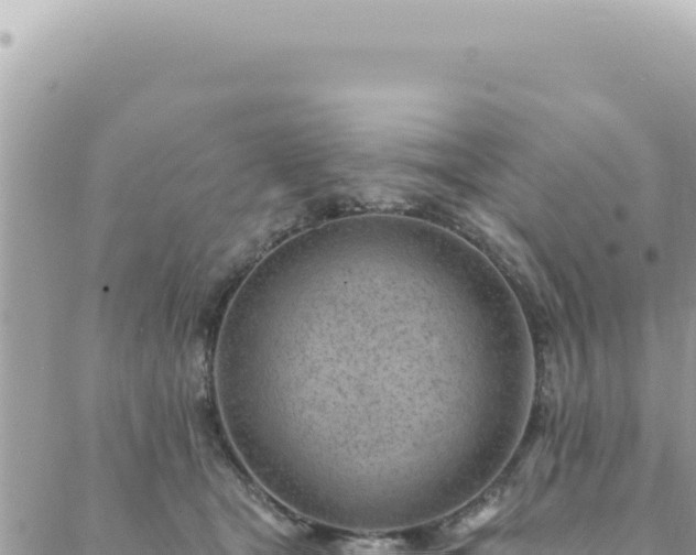 X0000088610465200706011232