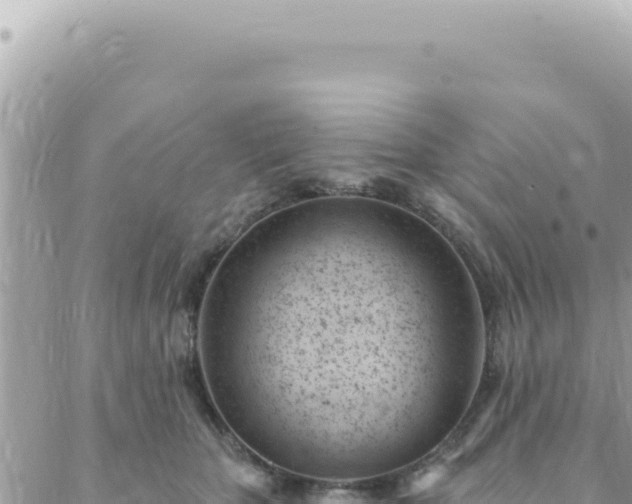 X0000088610467200706011232