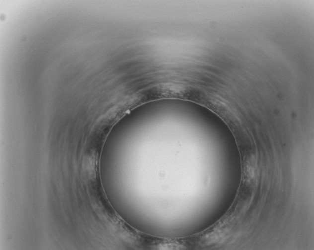 X0000088610468200706011232