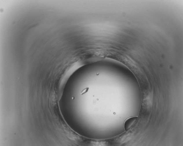 X0000088610469200706011232