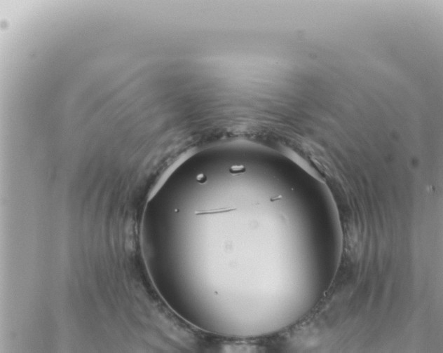 X0000088610470200706011232