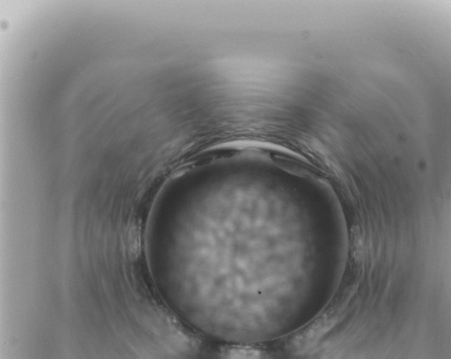 X0000088610471200706011232