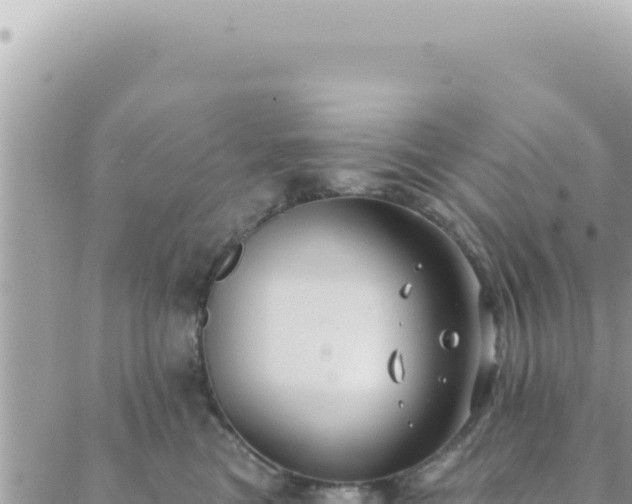 X0000088610473200706011232