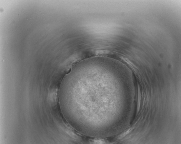 X0000088610475200706011232