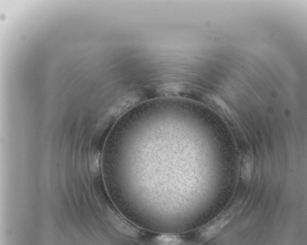 X0000088610477200706011232