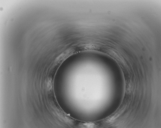 X0000088610478200706011232