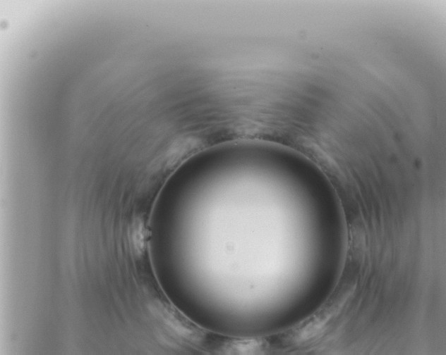 X0000088610479200706011232