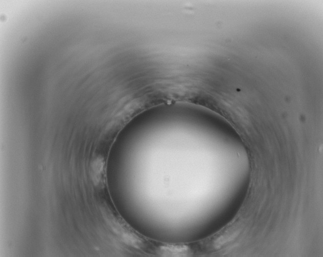 X0000088610480200706011232