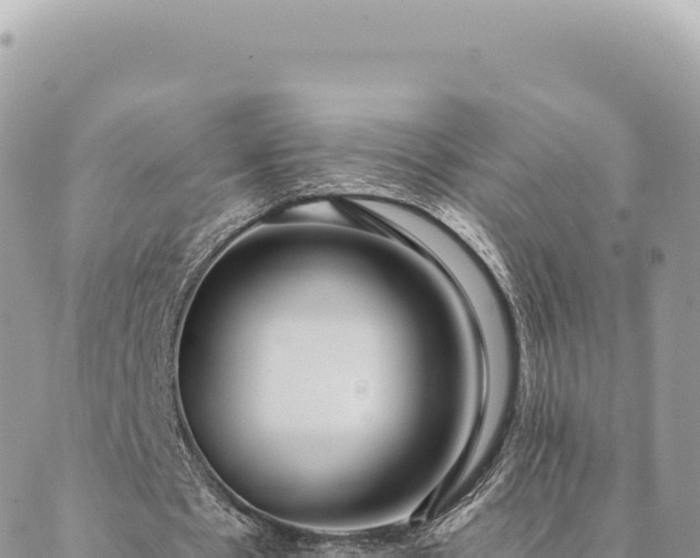 X0000088610481200706011231