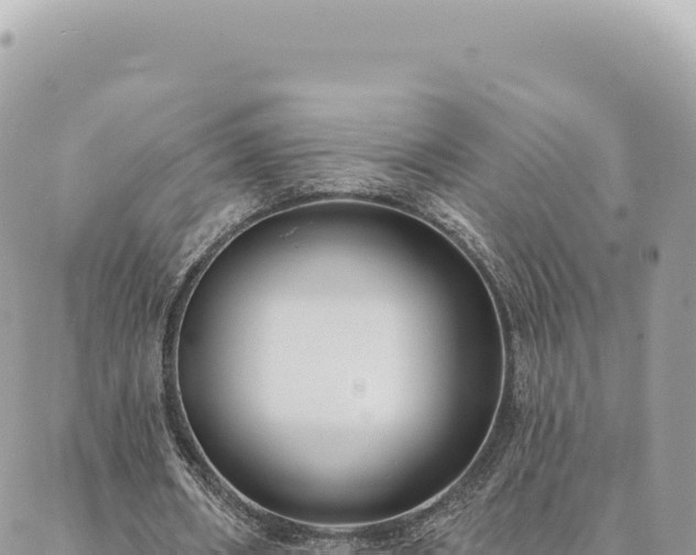 X0000088610482200706011231