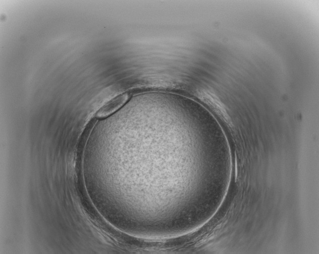 X0000088610483200706011231