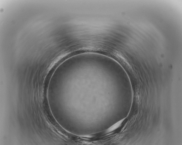 X0000088610484200706011231