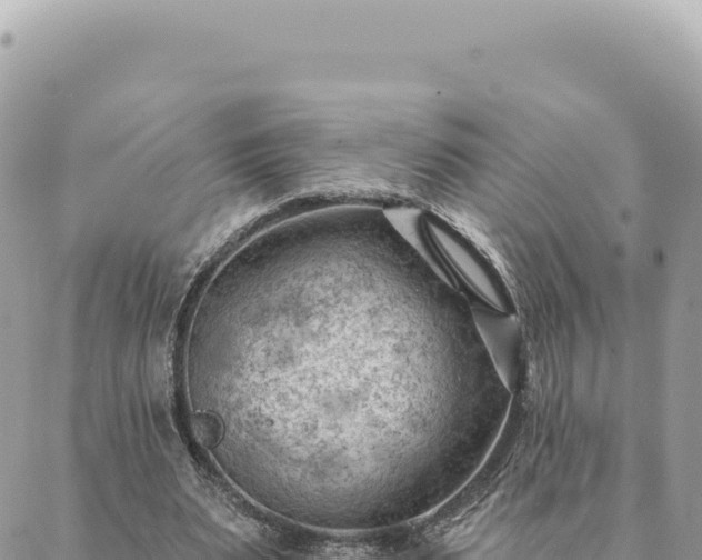 X0000088610487200706011231