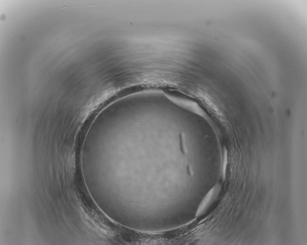 X0000088610488200706011231