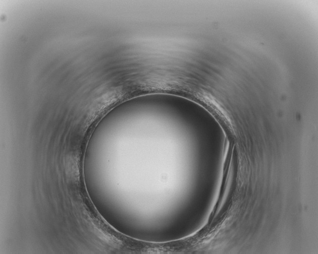 X0000088610489200706011231