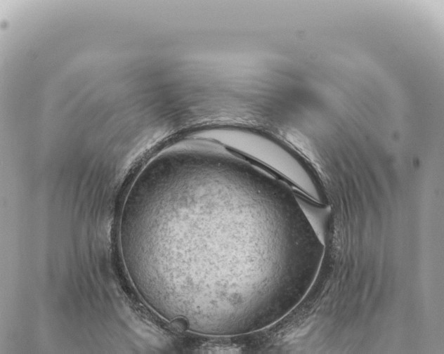 X0000088610491200706011231