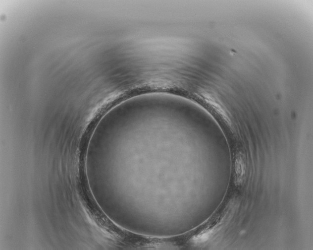 X0000088610492200706011231