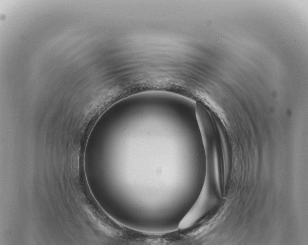 X0000088610493200706011231