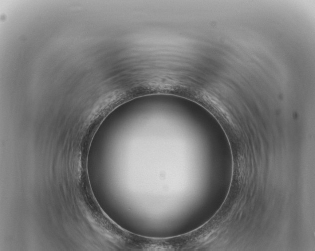 X0000088610494200706011231