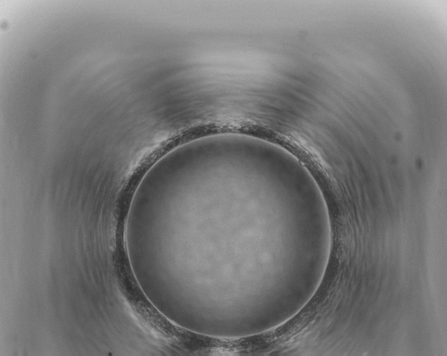 X0000088610496200706011231